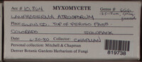 Image Associated With the Occurence